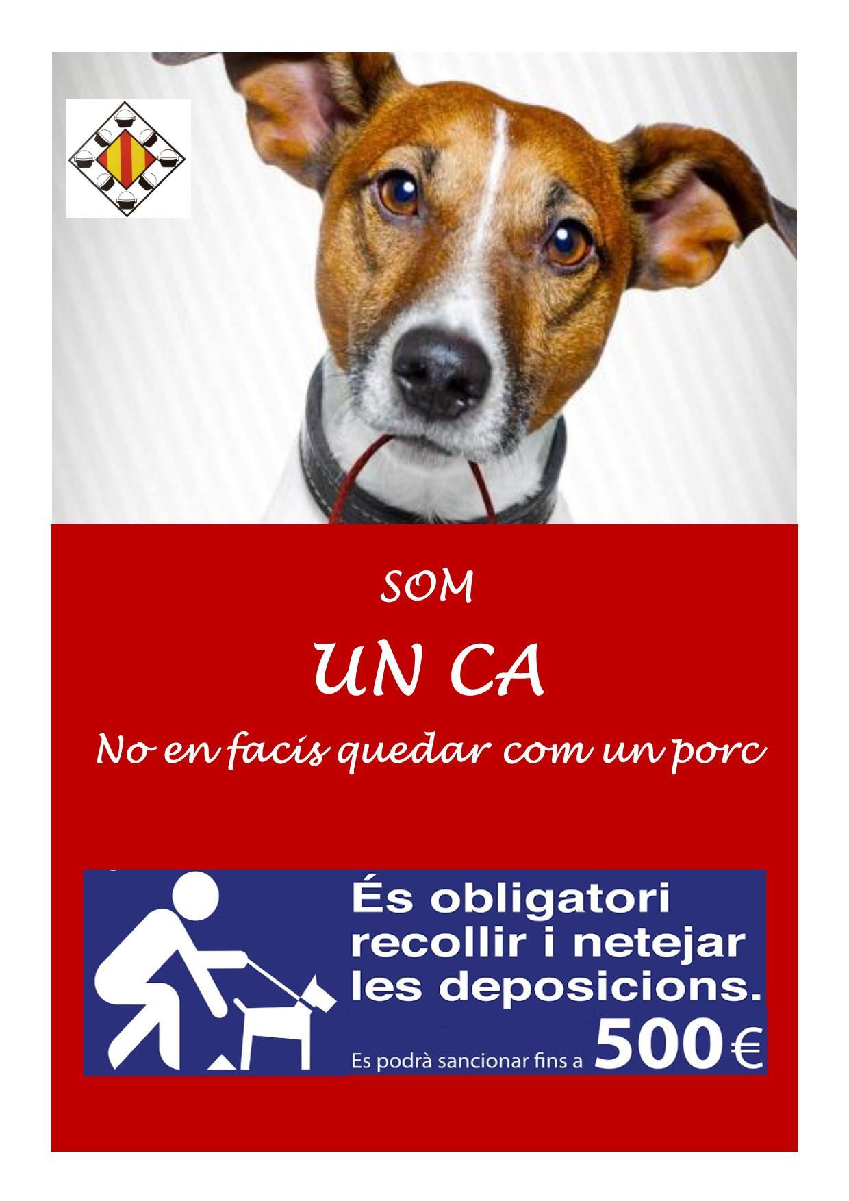 civisme